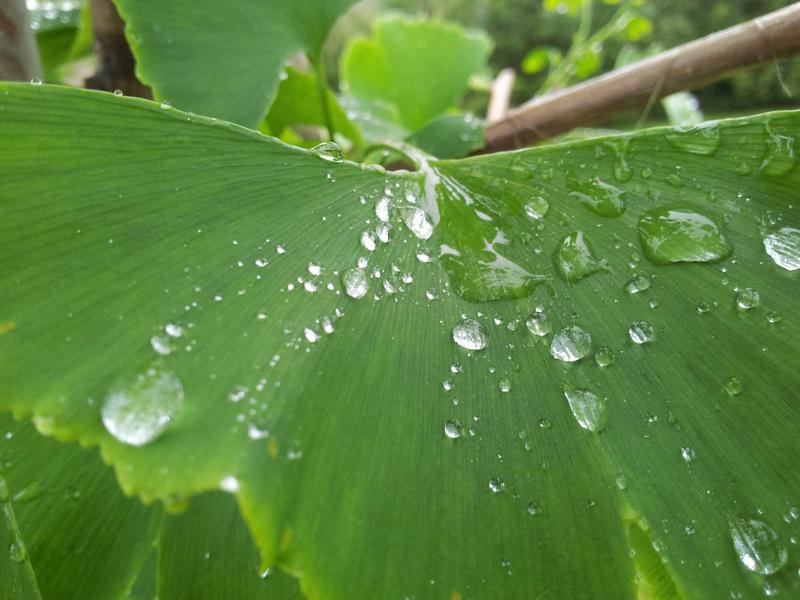 萨伏伊别墅<br>qyf5seag.cn 柯布西耶漫游